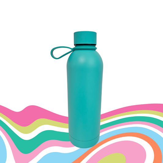 Insulated Stainless Steel Bottle 17 onz
