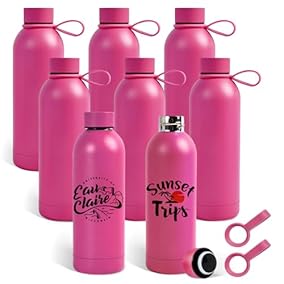Insulated Stainless Steel Bottle 17 onz